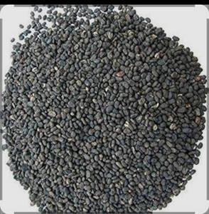 Meilleur prix pour les graines de Psoralea Corylifolia, vente en gros de graines de Babchi, épices en vrac, fournisseur d'Inde - Product Image 5