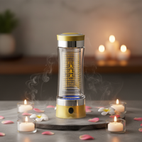 Bouteille d'eau alcaline portable la plus vendue 2025 en verre borosilicate de haute qualité, capacité 301-400 ml, moule privé, pour usage au bureau