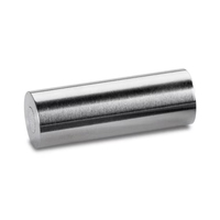 Waters WAT046855 UBondapak Cyano (CN) Sentry Guard Cartridge, 125A, 10 Um, 3.9 mm X 20 Mm, 2/pak