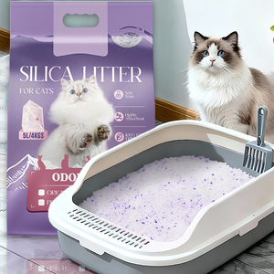 Litière pour <span class=keywords><strong>chat</strong></span> en cristal March <span class=keywords><strong>Expo</strong></span>, contrôle des odeurs, haute absorption, sans poussière, vente en gros directe d'usine, réduction sur les achats en vrac - Product Image 1