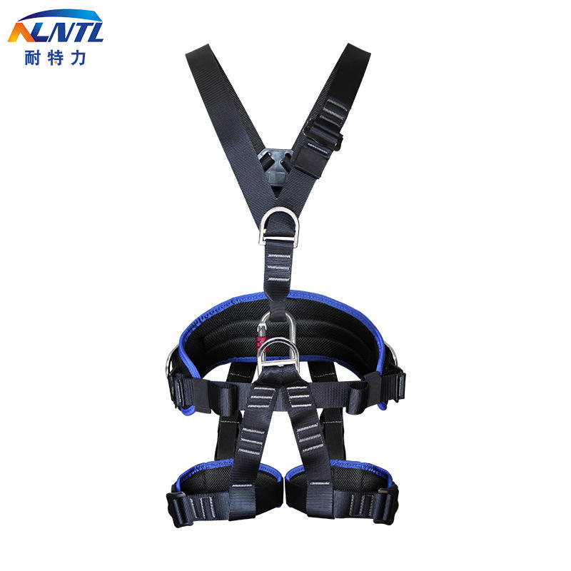 Cinturón de seguridad de una sola pieza (p06-1)