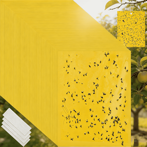 Pièges collants jaunes pour insectes volants, anti-mouches à fruits, anti-pucerons, plaques adhésives pour insectes, papier collant anti-moucherons - Product Image 1