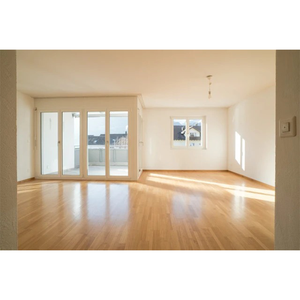 Zhan Chen-pintura de madera <span class=keywords><strong>en</strong></span> <span class=keywords><strong>aerosol</strong></span> mate, barniz de parqueta de madera de poliuretano sin olor - Product Image 5