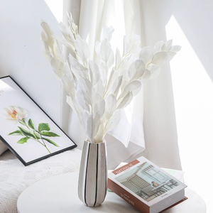 Plantas <span class=keywords><strong>de</strong></span> Ruscus Secas y Conservadas, Follaje Eterno, Hojas <span class=keywords><strong>de</strong></span> Citrus Reticulata Decorativas, Hojas <span class=keywords><strong>de</strong></span> Ruscus Secas al por Mayor, Hoja Naranja Seca - Product Image 4