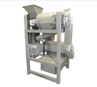 Voldoet aan EU-normen Volledig automatische fruitextractor Fruitpulp Ananas Mango Druif Citroen Pulping Sapvullende Mixer