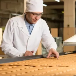 Mesin biskuit biskuit Sesame Peach multifungsi mesin pembuat kue gula jenis rol biskuit renyah Istana