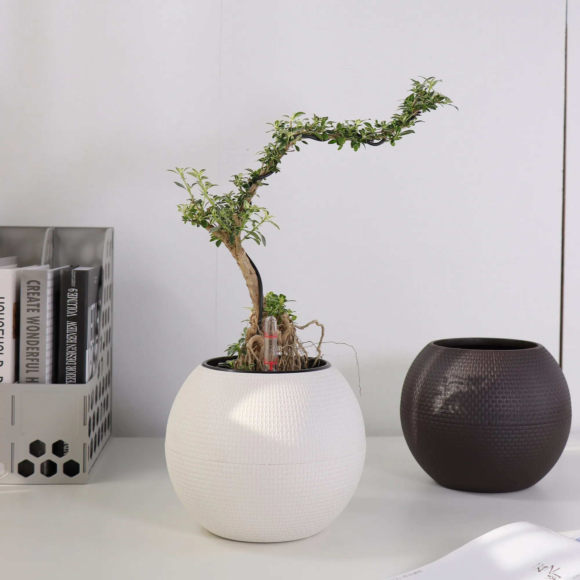 2024 New Design Spherical/Round Planter Indoor Plastic Plant Pot For Herbs Bonsai And Flowers With Water Indicator