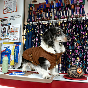 Veste pour chien d'hiver moderne, écologique et luxueuse, imperméable, rembourrée, pour Bassotto, Wiener, Teckel, Hamburg - Product Image 3