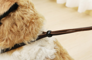 250cm starkes Hoch leistungs seil Geflochtenes integriertes Hunde halsband und Leine Verstellbares Anti-Kollisions-Halsband und Leine aus echtem Rindsleder - Product Image 5