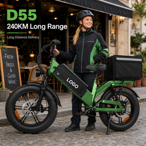 Bicicleta Eléctrica de Carga D55, 48V 55Ah, Batería Grande Personalizable, Modelo con Neumáticos Gruesos de 20 Pulgadas para Entrega Comercial - Product Image 1