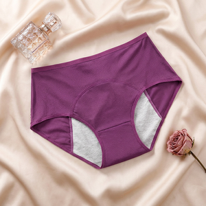 Culottes menstruelles anti-fuites pour femmes, confortables, en maille, taille mi-haute, doublure en coton, sous-vêtements menstruels grande taille pour femmes, vente en gros - Product Image 2
