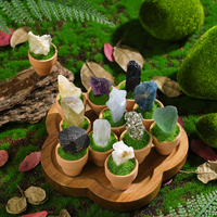 Cadeaux de spécimens minéraux naturels : Fluorite, Améthyste, Pyrite, Plante en pot, Cristal, Pierre brute, Roche de bonsaï pour la guérison et la décoration