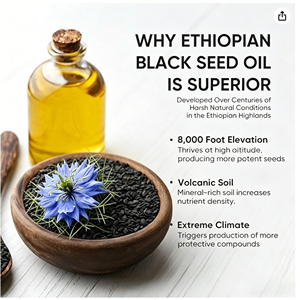 Gélules <span class=keywords><strong>d</strong></span>'<span class=keywords><strong>huile</strong></span> de nigelle éthiopienne à marque privée OEM - 60 unités - Complément alimentaire - Complément alimentaire très vendu - Product Image 2