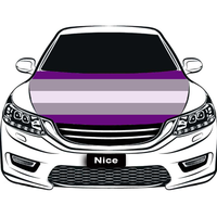 Housse de capot de voiture personnalisée en polyester extensible, motif arc-en-ciel gay, pour défilé Pride, séance photo et protection solaire