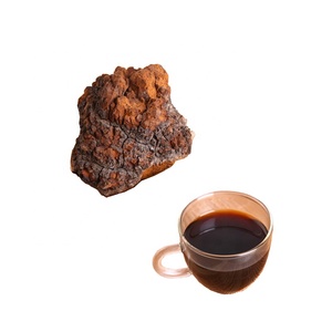 Чистая травяная диетическая добавка <span class=keywords><strong>Chaga</strong></span> гриб порошок экстракт - Product Image 5