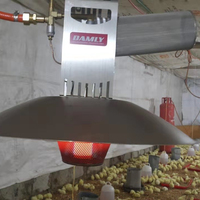 Nouveau chauffage infrarouge automatique GOLDENEST pour volailles, poules et poussins, haute qualité, garantie 5 ans et plus