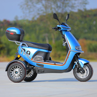2023 nouveau 3 roues vélo électrique moto 800W 40 KM/H 3 roues cyclomoteur électrique Scooter pour adultes