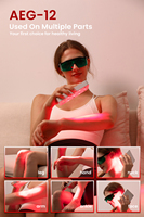 Appareil de luminothérapie LED portable en alliage d'aluminium, lumière rouge et proche infrarouge, 16 LED, 5W, batterie 4000mAh pour la gestion ciblée de la douleur et des plaies