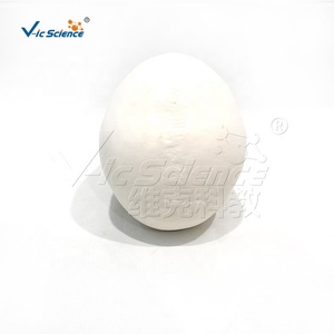 Modelo de Cráneo Anatómico de Tamaño Real, Cada Hueso del Cráneo Desmontable con Etiquetas Numeradas para Educación Médica - Product Image 5