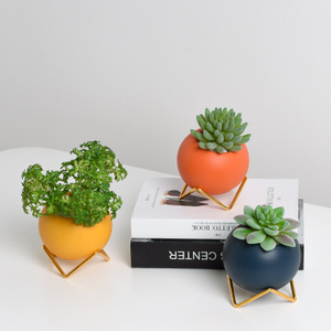 Kit Personalizzato di <span class=keywords><strong>Vasi</strong></span> per <span class=keywords><strong>Piante</strong></span> Succulente Artificiali Colorati <span class=keywords><strong>con</strong></span> Supporto in Metallo <span class=keywords><strong>e</strong></span> <span class=keywords><strong>Vasi</strong></span> in Ceramica - Product Image 4