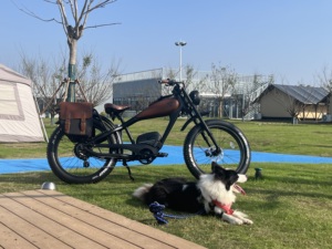 Bicicleta Eléctrica Vintage de 26 Pulgadas con Llantas Gruesas, 48V 750W, Motor Trasero sin Escobillas, Batería de Litio, Alta Velocidad 60km, para Adultos - Product Image 5