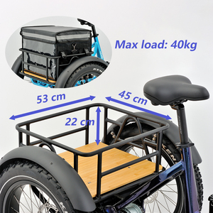 Tricycle électrique cargo robuste sans balais pour adultes, 250W, batterie 48V 15Ah, 7 vitesses, freins à disque hydrauliques, charge stable - Product Image 2