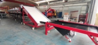 China fabriek knoflook sorteermachine, medium type knoflook sorteerapparatuur, aangepaste sorteringen beschikbaar
