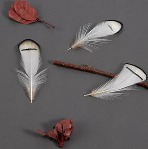 Bán buôn Chất lượng cao 4-8cm màu trắng tự nhiên gà lôi đầu lông lý tưởng cho bay buộc, mũ embellishments - Product Image 2