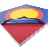 Tapis de lutte professionnels écologiques, imperméables, antidérapants et doux pour l'entraînement aux arts martiaux - Jiu-Jitsu, Judo, MMA
