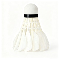 Volant de badminton professionnel personnalisé en nylon, léger, avec tête en mousse plastique durable, qualité compétition, pour club