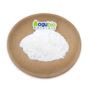 Poudre d'acide hyaluronique de hyaluronate de sodium en vrac de qualité cosmétique de haute pureté en gros