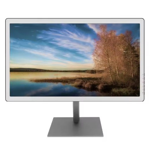 Bigme B251 Monitor E-ink Color Ink Screen Display Expansion Display Screen Desktop Screen Projection Eye Protection