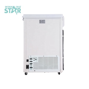 WINNING STAR BG-449 Congélateur d'Exposition à Énergie <span class=keywords><strong>Solaire</strong></span> à Compresseur DC AC240V/DC12V 125L Réfrigérateur Congélateur à Compression Profonde - Product Image 4