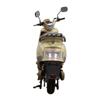 Sepeda Listrik 800W Grosir untuk Dewasa, Stylish & Tahan Lama, Tegangan 60v dengan Spion Sein, Motor Listrik