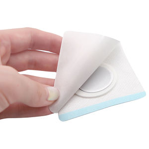 Parche tópico de Salud de próstata de tendencia caliente OEM ODM Parche de próstata de yeso chino natural - Product Image 6