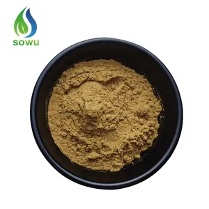 Best Quality coleus forskohlii root extract forskolin coleus forskohlii extract