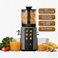 Slowjuicer Koude Pers Anti-Oxidatie Hoge Voedingswaarde Stil 350W Brede Invoeropening Smoothie 2.5L Zelfreinigend CE RoHS FDA UL Huishoudelijk