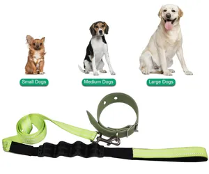 Reflective Nylon High-strength Tensile Belt With Buffering For Large And Medium-sized Dog Pet Traction Rope