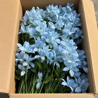 Fabrik-Großhandel Künstliche Einzelne Samt-Rosen Blume Rot Weiß Schwarz Lila Maßgefertigte Hyazinthen-Lilien Dekorative Blumen