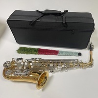 Wholesale Brass Eb Alto Saxophone with Case Accessories Factory Price for Sale Accept OEM ODM Customize Logo Gold Lacquer Finish