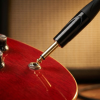 Prise mono TS 6,35 mm, connecteur audio 1/4 pouce, compatible avec câble de 5-6 mm, noir, or, nickel, type à souder, pour haut-parleur, câble de guitare, studio de musique