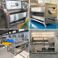 Bladgroente-gember-fruitwasser Mango- en avocado-was- en schilmachine Was- en schilmachine met borstel