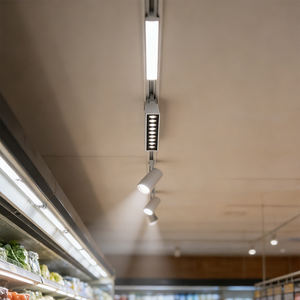 Éclairage <span class=keywords><strong>sur</strong></span> <span class=keywords><strong>rail</strong></span> magnétique encastré LED blanc intelligent 8w 3000k 48v Projecteur à gradation <span class=keywords><strong>sur</strong></span> <span class=keywords><strong>rail</strong></span> linéaire à double tête pour salon et bureau - Product Image 3