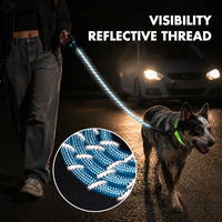Laisse pour chien A Mazon Top Seller avec poignée rembourrée, en nylon durable, matériau réfléchissant, laisse ronde rayée avec ruban