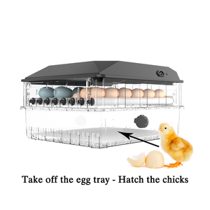 Giá Rẻ Giá 36 công suất kiểm soát nhiệt độ tự động trứng lồng ấp để bán - Product Image 2