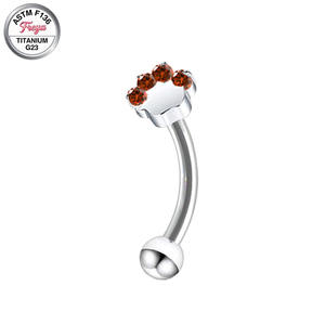 Piercing Labret en Titane, Bijoux pour Sourcils, Anneaux de Nombril, Piercings Rook et Tragus pour Femme, Motif <span class=keywords><strong>Patte</strong></span> de Chat, Vente en Gros - Product Image 2