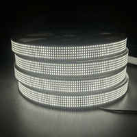 Anneaux lumineux pour roues 15"/17"/20" 12V-14V Blanc pur pour rénovation/amélioration