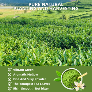 Té Matcha Verde Ceremonial de Grado 6A de Marca Privada, Nuevo Sabor a Vainilla, Té Instantáneo Saludable, Certificado Halal, Caja/Bolsa a Granel - Product Image 2