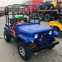 Voiturette de golf tout-terrain 150cc 200cc 250cc, mini-jeep automatique à essence 2/4 places, véhicule utilitaire électrique pour adultes, buggy