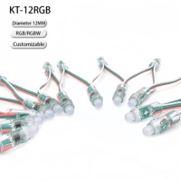 Lumières LED à pixels, vente directe d'usine, bande RGB 50 pièces 12 mm pour décoration de jardin, maison, arbre, IP68, extérieur, WS2811, UCS1903